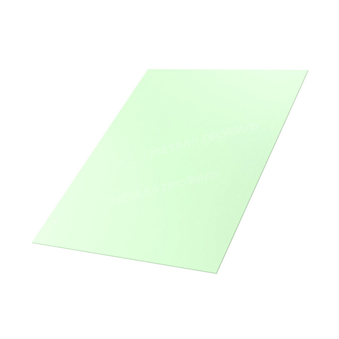 Лист плоский (ПЭП-01-6019-0.45)